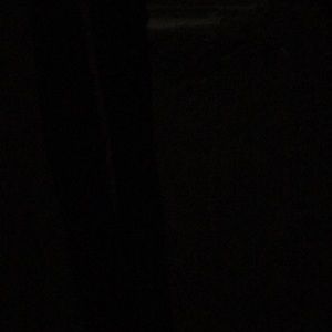 Meet your Posher, Bailey